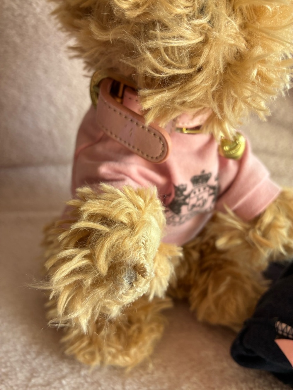 Juicy Couture - Juicy Doggy Rare 2006 Yorkie Plush Dog - Picture 8 of 16